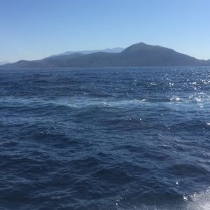 Meet your Posher, Lilly